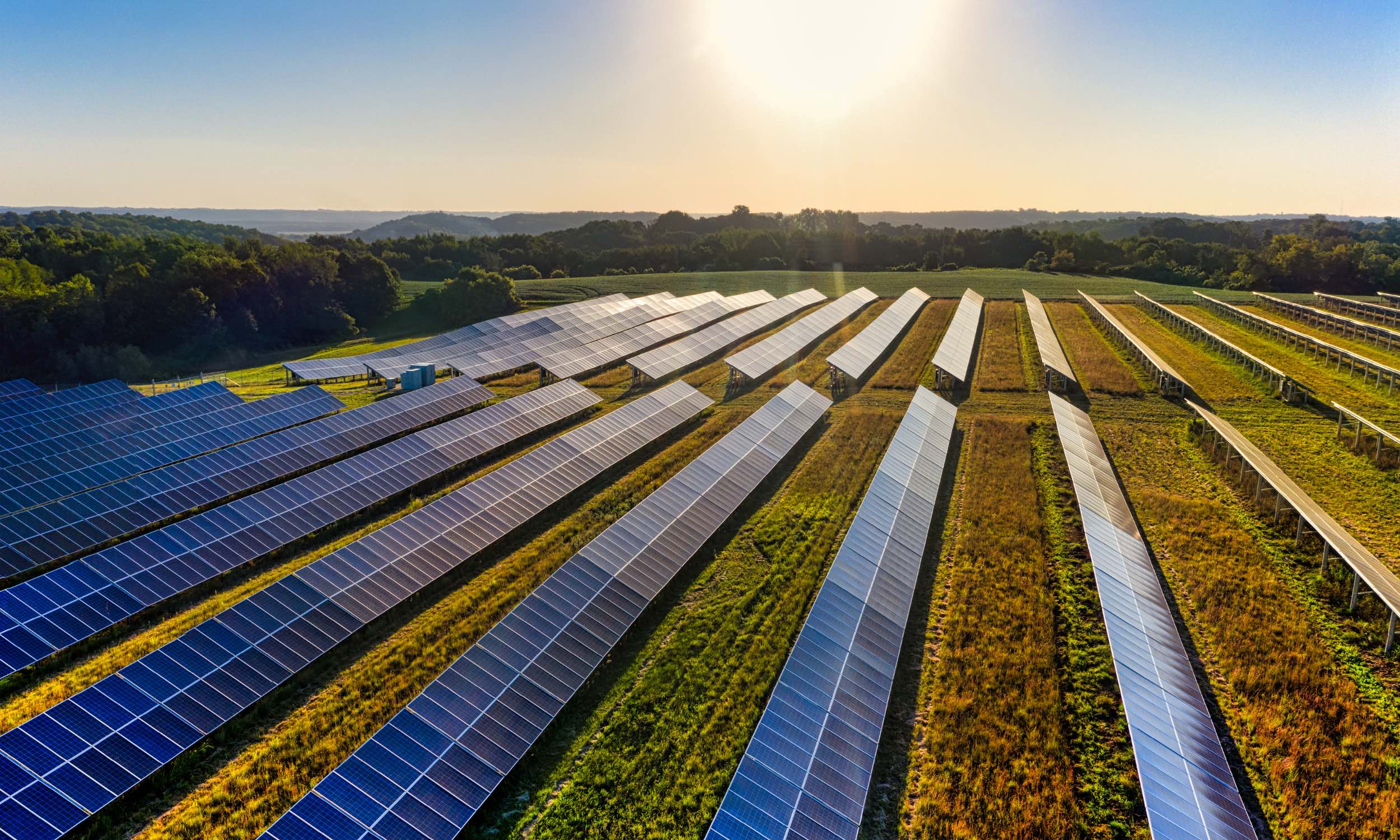 Beneficios y ventajas energía agrovoltaica