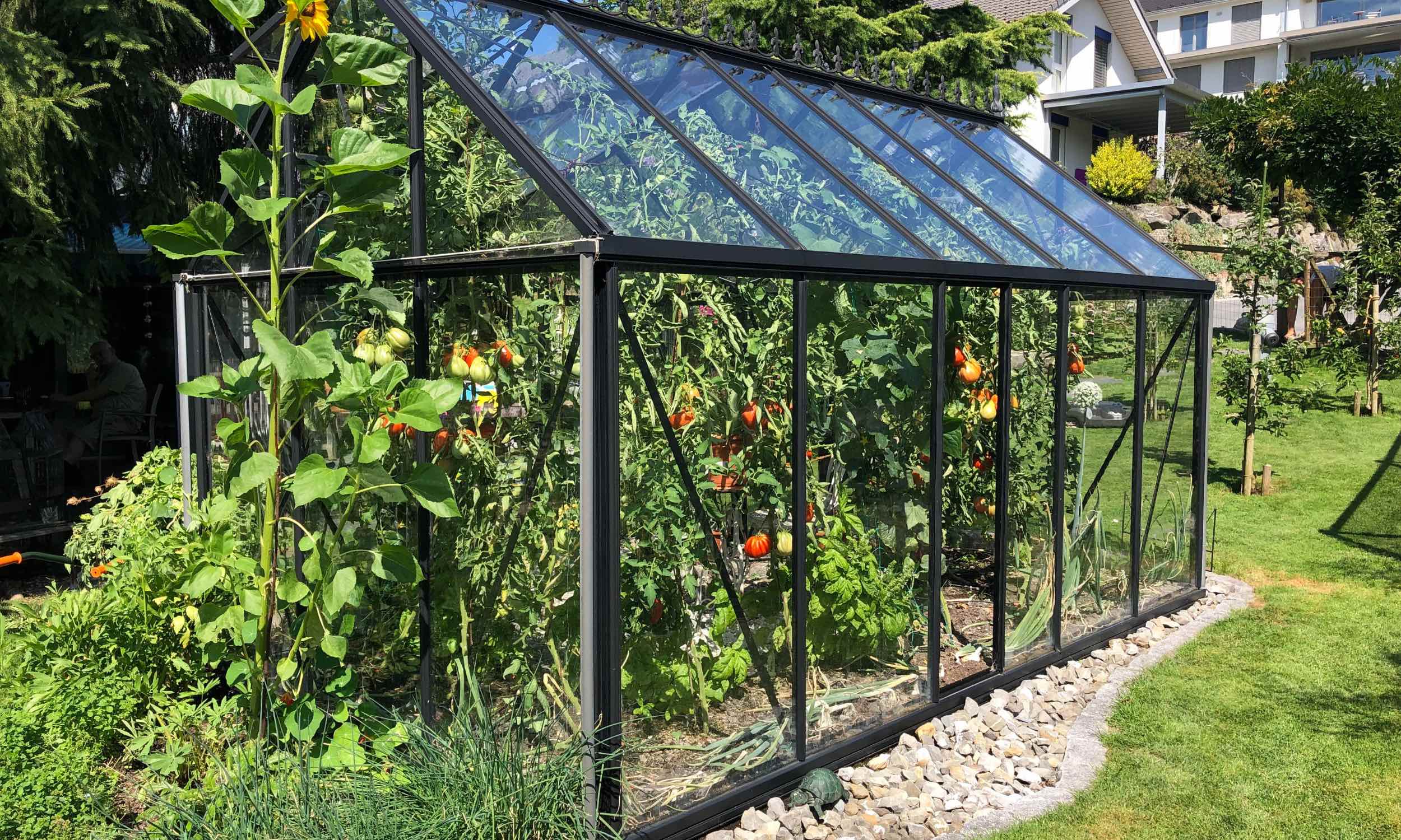 placas solares transparentes para invernaderos​